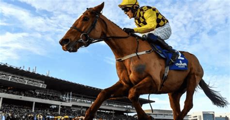 champion hurdle betting offers|Champion Hurdle Betting Odds Comparison 2024 .